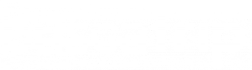 ami travel sa de cv